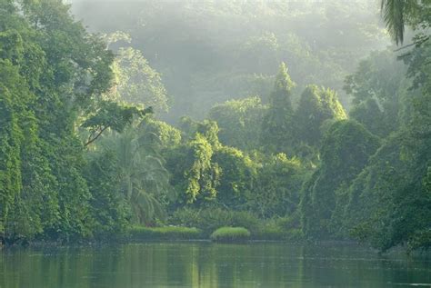 Corcovado National Park & Puerto Jimenez Travel Guide - Costa Rica