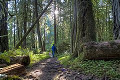 Category:North Umpqua River Trail - Wikimedia Commons