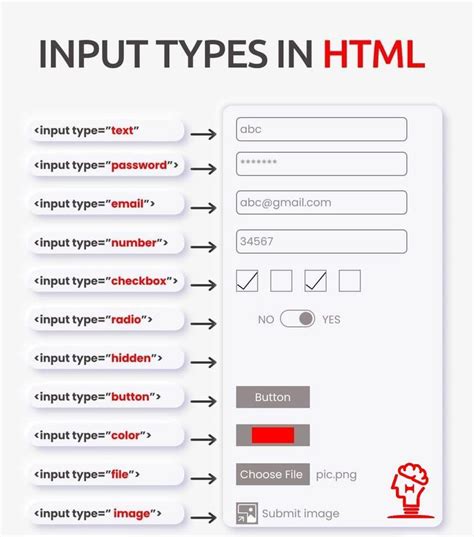 Input Types In Html Theta | Hot Sex Picture