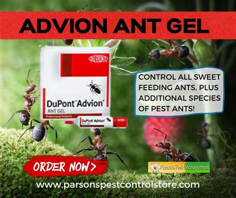 Advion Ant Gel | Ant species, Ants, Gel