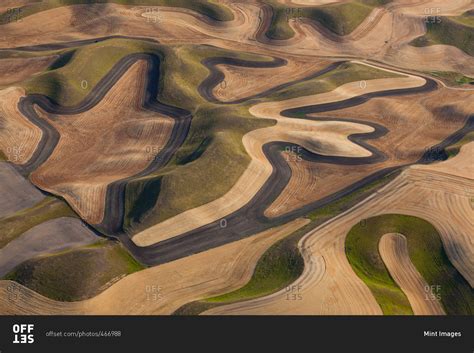 Farmland landscape, with ploughed fields and furrows in Palouse, Washington, USA An aerial view ...