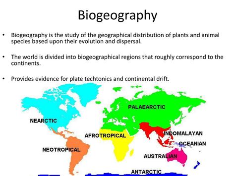 PPT - 1. Evolution PowerPoint Presentation, free download - ID:4183847