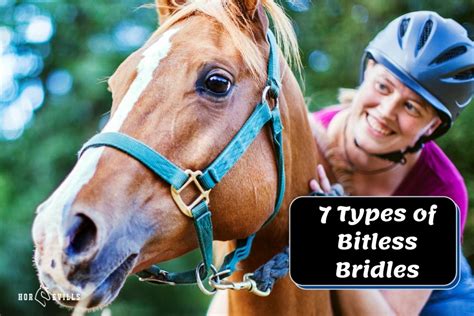 7 Bitless Bridle Types and Their Uses (Equestrian Guide)