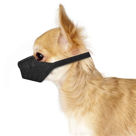 Small dog muzzle - vectorluli