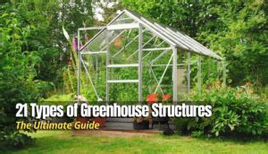 21 Types of Greenhouse Structures (The Ultimate Guide) - The Backyard Pros