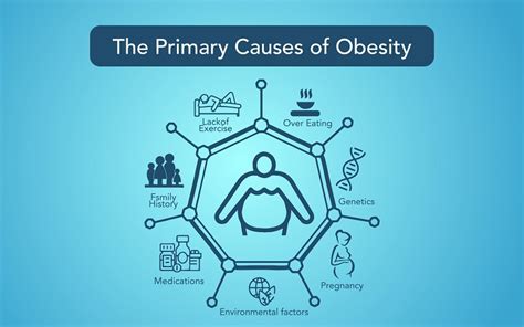 Understanding the Causes of Obesity and Effective Solutions – Vital Reader
