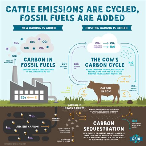 Where Do Methane Emissions Come From? — Global Food Justice Alliance