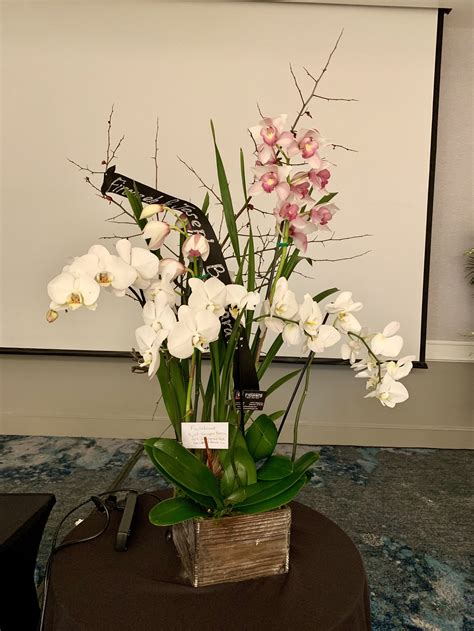 Orchids Photo Gallery — Wholesale Flowers, Floral Design, Orchids- Mina Flower Design