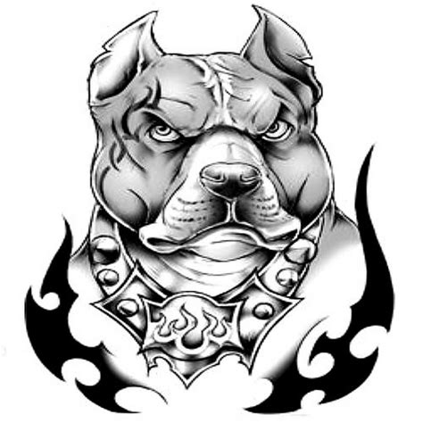 Pitbull Dog Drawing at GetDrawings | Free download