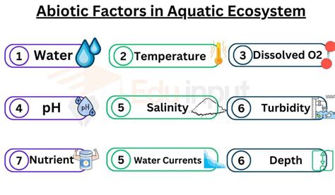 Abiotic Factors in Aquatic Ecosystem