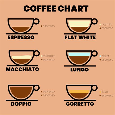 Coffee types infographic vector illustration 14477738 Vector Art at Vecteezy