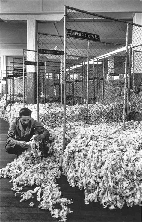 Wool Stores — Pyrmont History Group | Winchcombe, Simple shed, Old photos