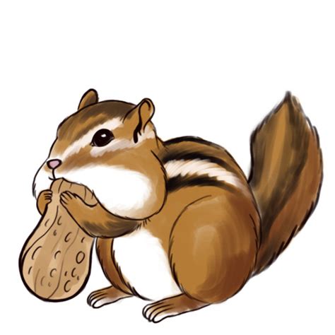 Chipmunk clipart simple, Chipmunk simple Transparent FREE for download on WebStockReview 2024