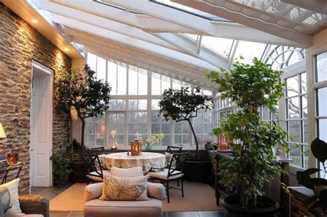 Sunroom Indoor Plant Ideas: 15 Trendy and Stylish Inspirations