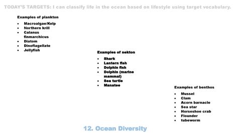 April 19th/20th Notes 12.b: Classification - ppt download