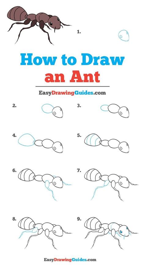 How to Draw an Ant - Really Easy Drawing Tutoria | Easy drawings ...