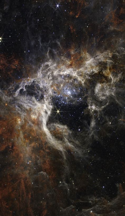 NASA Webb Tarantula Nebula | Florence County Museum