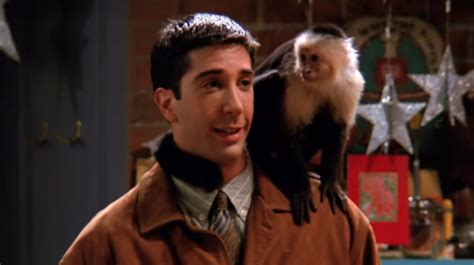 Whatever Happened To Marcel The Monkey From Friends?