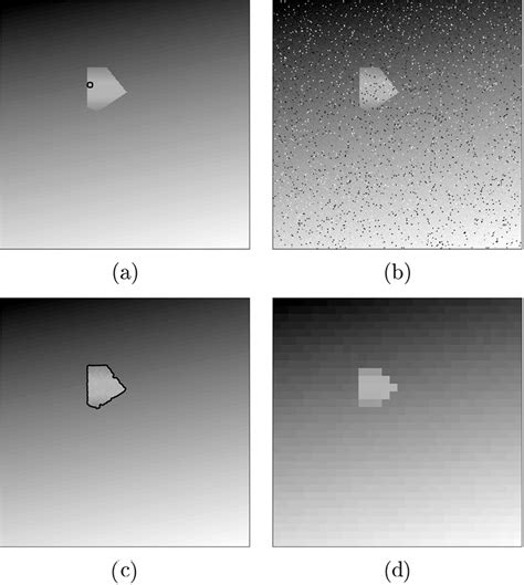 (a) True synthetic LADAR range image and the initial curve (t = 0). (b ...