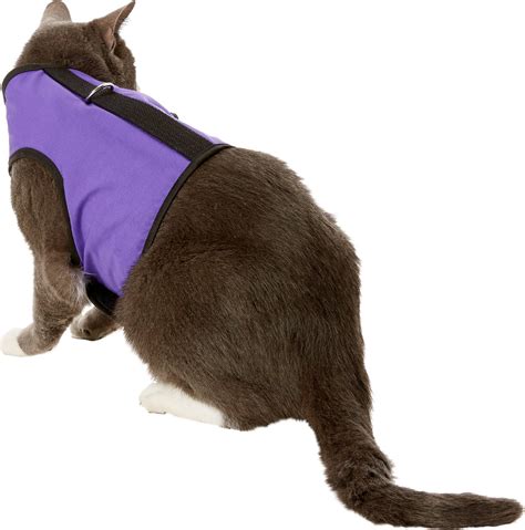 Kitty Holster Cat Harness, Purple, X-Large - Chewy.com