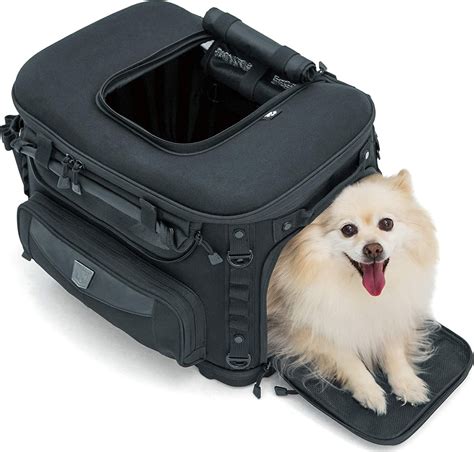 Motorcycle Pet Carrier: 7 Best Premium Quality Pet Carriers In 2023 | Bulldogology