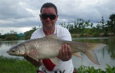 Gallery - Fishing in Thailand at Teak Tree Lake Mrigal