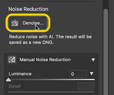 How to use Adobe Denoise AI In Lightroom and Camera Raw - PhotoshopCAFE