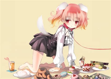 Inu × Boku SS Wallpaper and Background Image | 1697x1200 | ID:227219