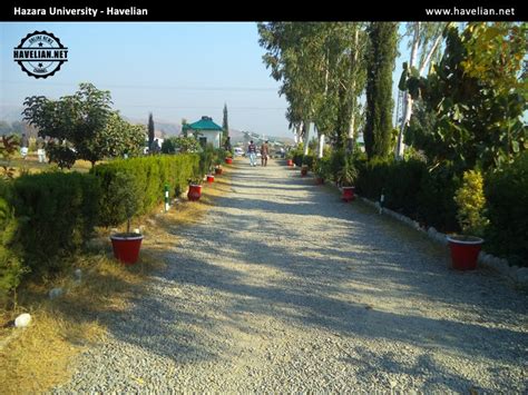 Beautiful Pictures of Hazara University Havelian Campus