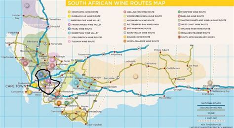 Visiting the Cape Winelands of South Africa | The Travel Info Blogger