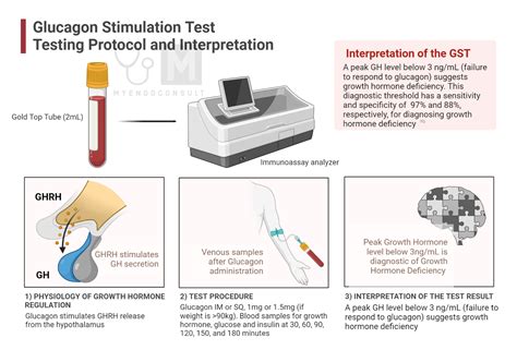 Glucagon Stimulation Test - My Endo Consult