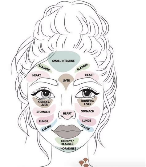 Face Map for Acne | Face mapping, Face chart, Face roller