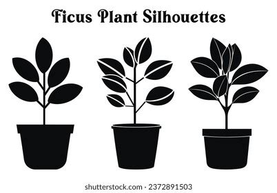 50,174 Potted Plant Silhouette Images, Stock Photos, 3D objects, & Vectors | Shutterstock