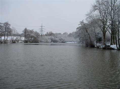 Larry Lachance Saunders - My World in Wildlife: mill pond in winter