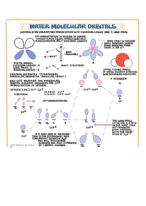 Water Molecular Orbitals - CHEM12A - Studocu