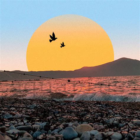 sunset nets | Digital collage, Album cover art, Artwork