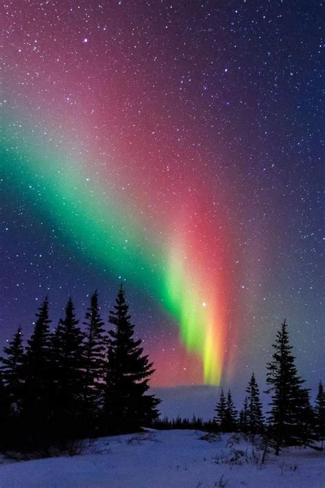 Northern lights - a miracle of nature. Churchill, Manitoba, Canada. The ...