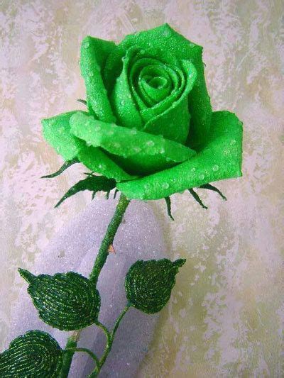 Top 10 most beautiful green roses – Artofit