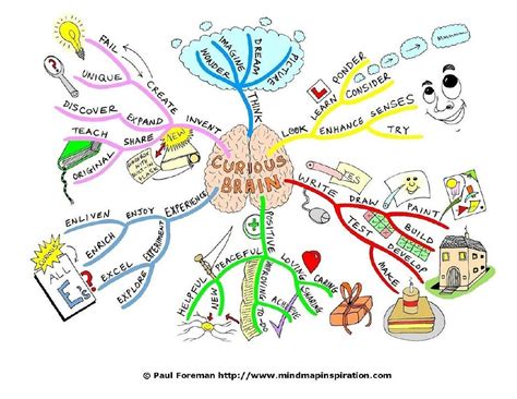 Curious Brain Mind Map