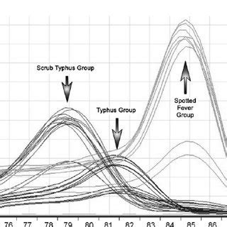 Melt-curve analysis (SYBR Green first derivative plot) of resulting DNA ...