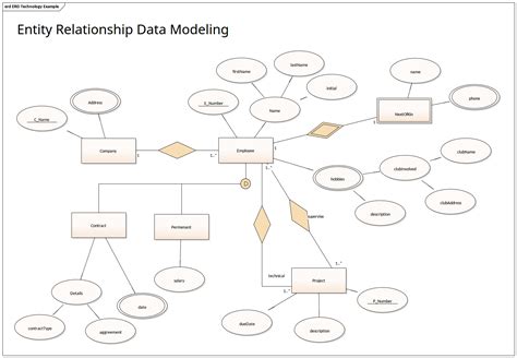 Data Model Entity Relationship Diagram Conceptual Entity Rel