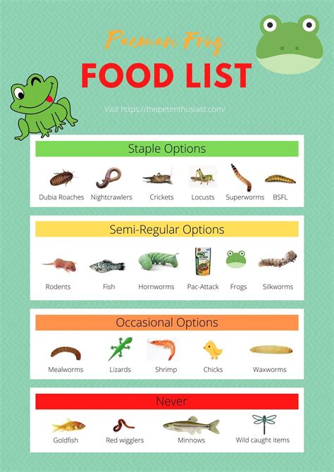 Pacman Frog Diet - How to Feed a Pacman Frog (with Food Chart)