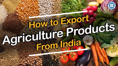 How to Export Agriculture Product From India || Export Import Business ...