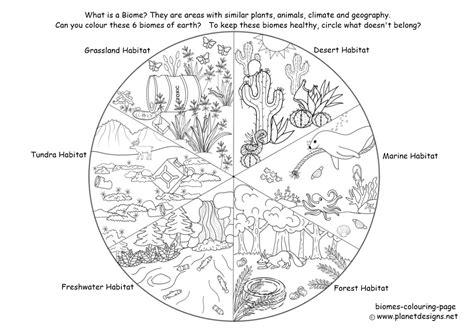 Biomes colouring activity - Planet Designs Kids - Planet Designs