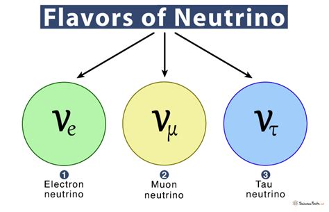 Neutrino - Definition, Mass, Symbol, and Flavors with Diagram