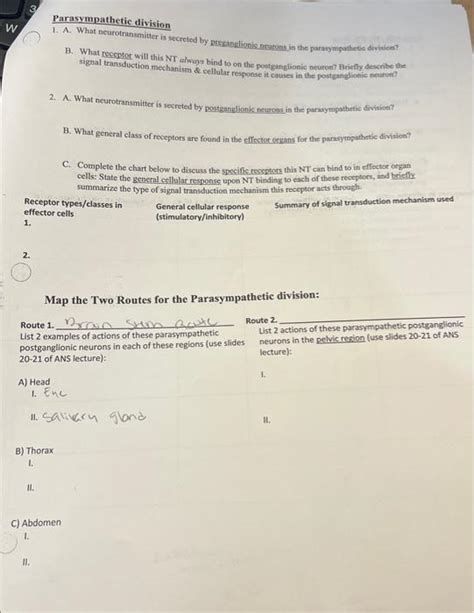 Solved Parasympathetic division W 1. A. What | Chegg.com