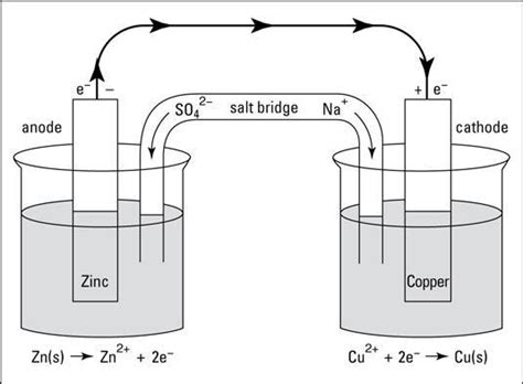 Daniell Cell - Explanation, Diagram, Functions with FAQs