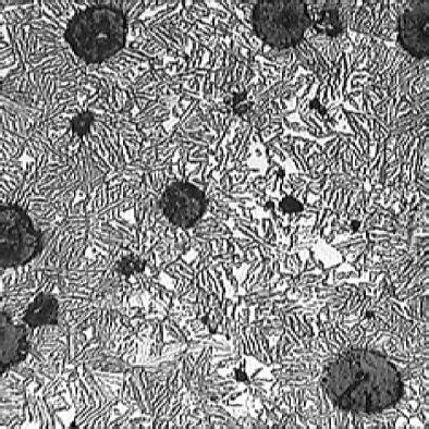 Microstructure of the as-cast ductile iron. | Download Scientific Diagram