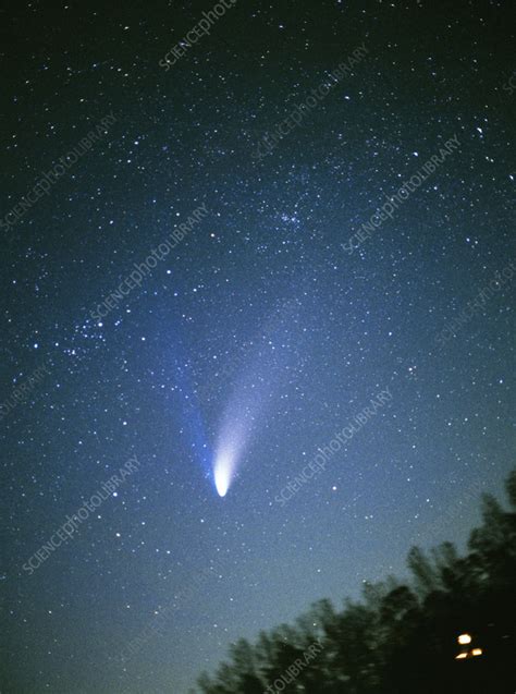 Comet Hale-Bopp, 1997 - Stock Image - C056/2388 - Science Photo Library