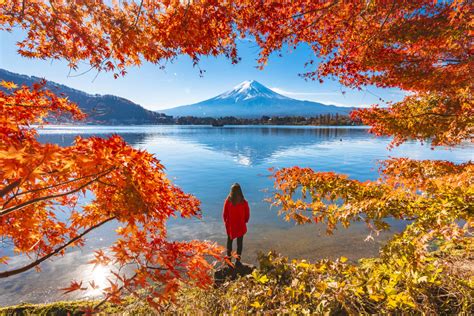 Autumn in Japan: Where to admire vivid fall foliage in Japan